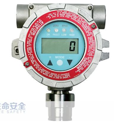 RAEGuards IR 紅外可燃?xì)怏w檢測儀FGM-1200S